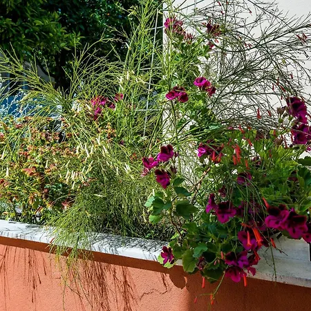 Veronika - One Bedroom With Terrace