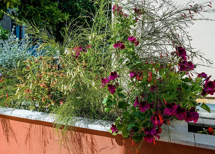 Veronika - One Bedroom With Terrace